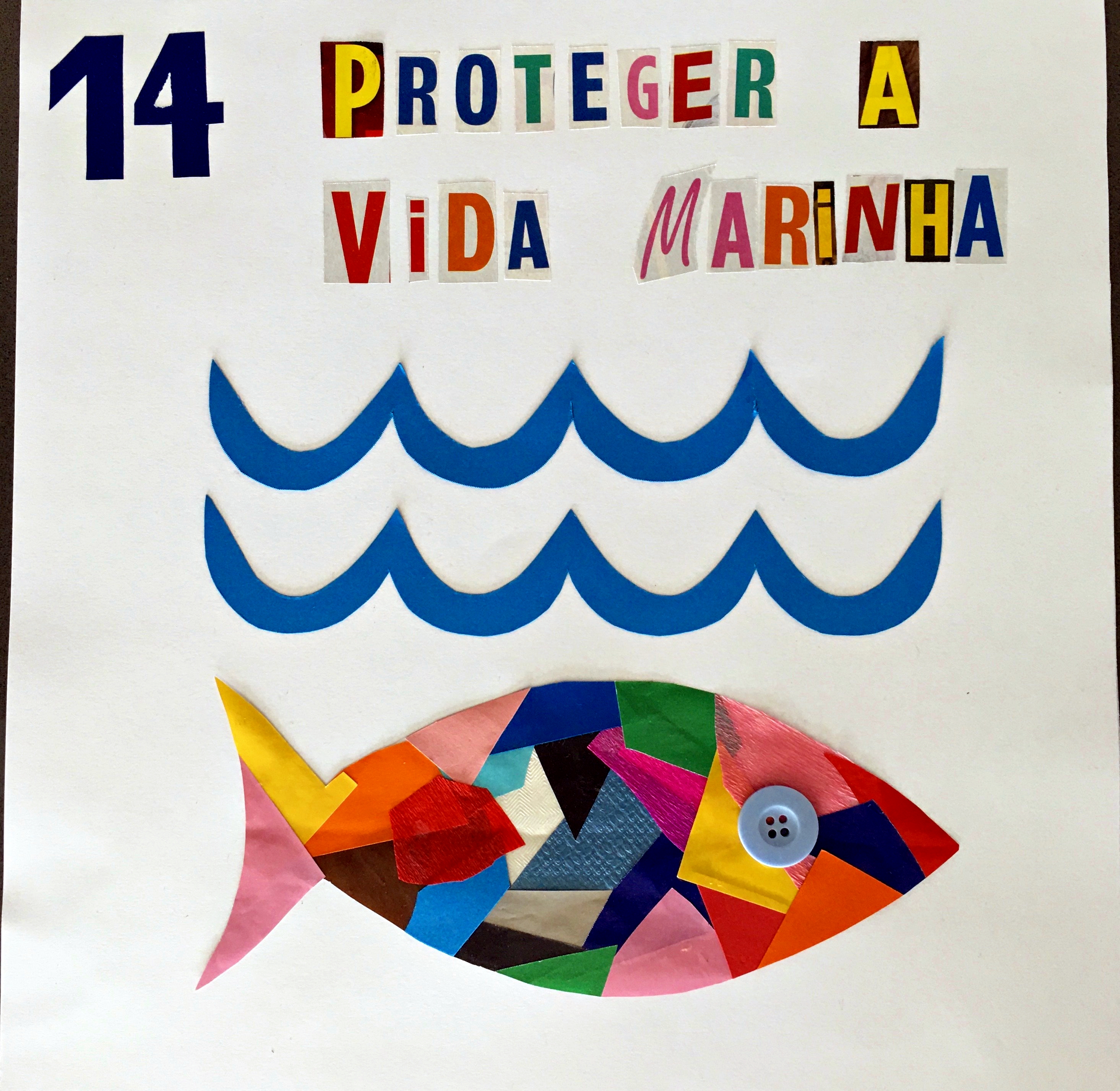 ODS 14- Proteger a vida marinha